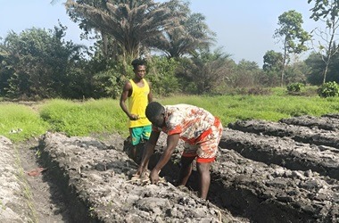 agriculture 380x250 1